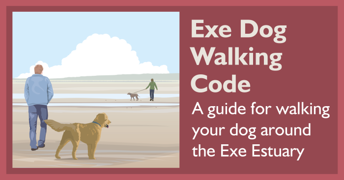 An illustration of some dog walkers with the title "Exe Dog Walking Code"
