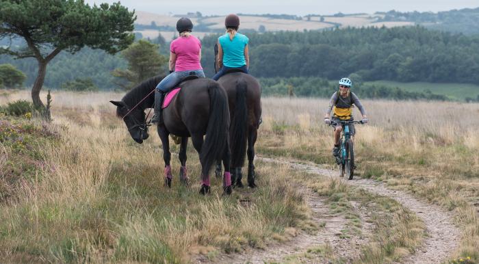 A photo of horses, their riders and a cyclist on the heaths