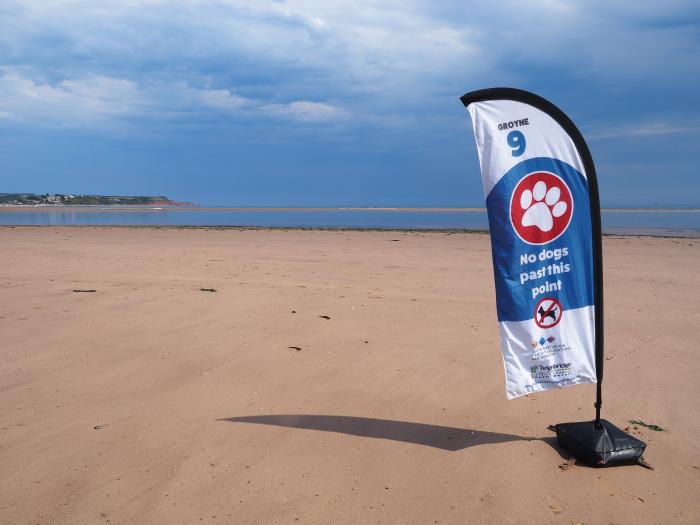 A photo of a feather flag used to inform visitors about the dog-free zone at Dawlish Warren