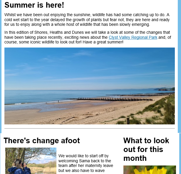 Front cover of our summer 2021 e-newsletter