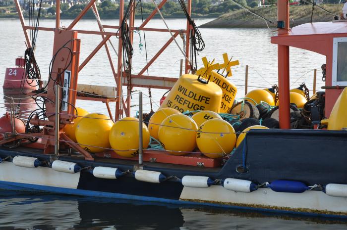 A photo of yellow wildlife refuge buoys on a boat ready to be placed in the estuary.