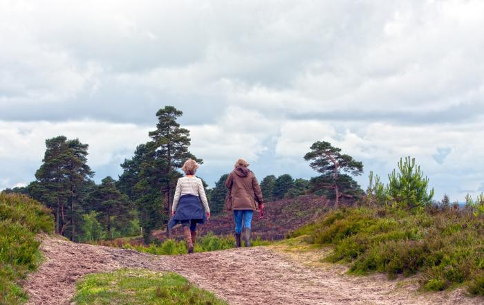 A photograph of some people walking on the heaths