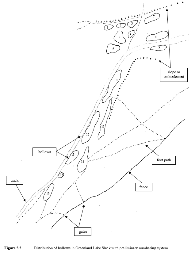 Figure 3.3, page 2 Dawlish Warren Petalwort survey 2019