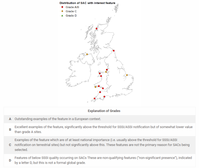 UK Petalwort distribution map, Dawlish Warren Petalwort survey 2019