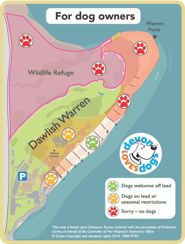 An illustrated map of Dawlish Warren, colour coded to indicate where dogs can go