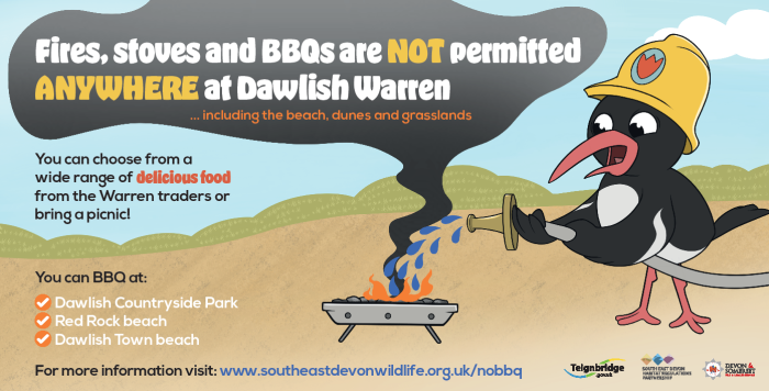 An illustration of a bird putting out a bbq at Dawlish Warren - No BBQs are allowed here at any time