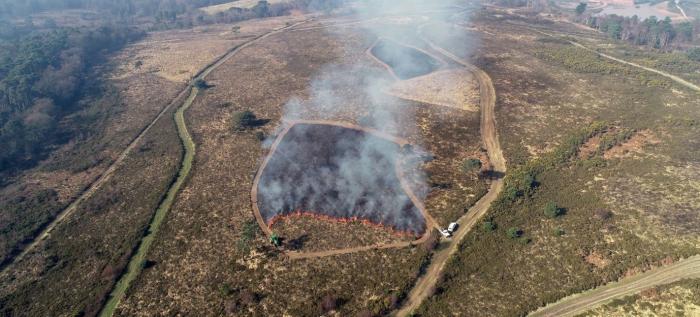 Aerial photo of heathland swailing