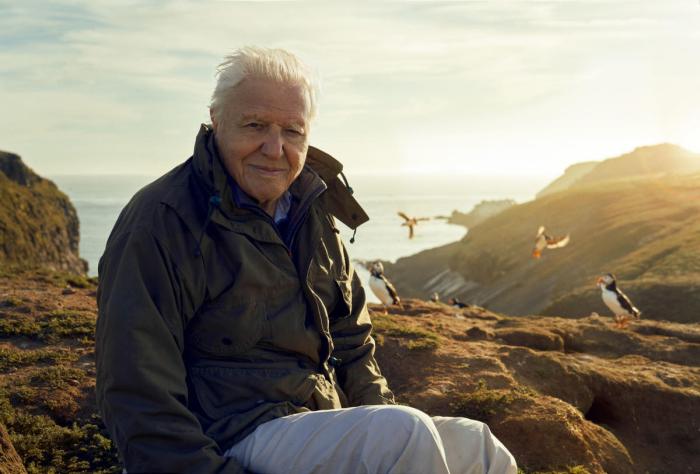 A photograph of Sir David Attenborough