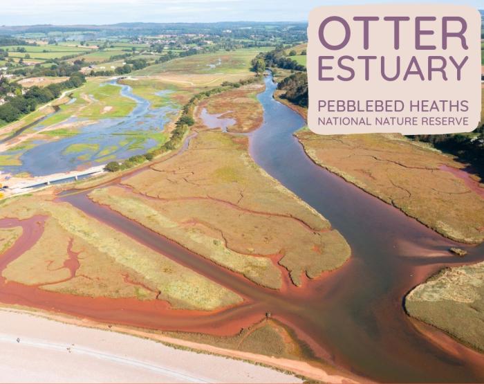 Otter Estuary NNR aerial image