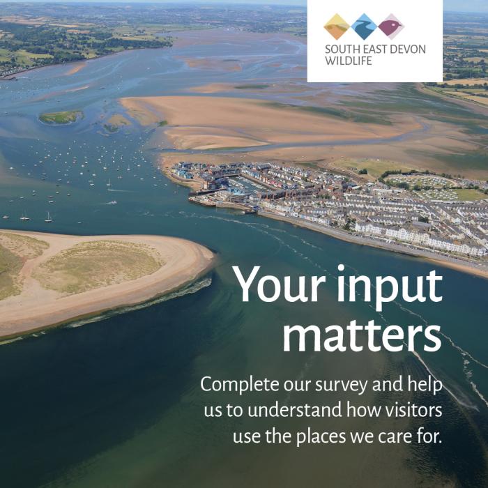 Visitor survey, Exe Estuary in photo