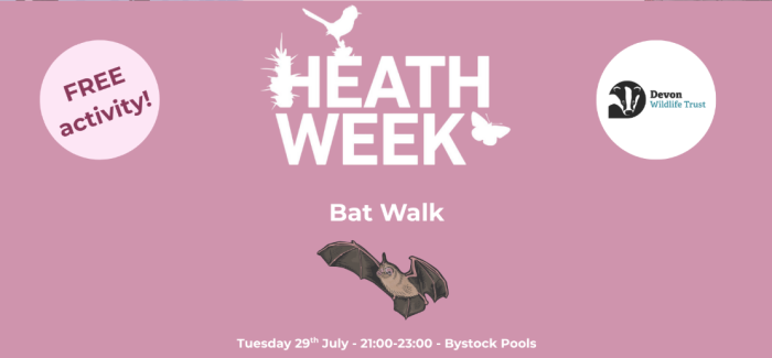 Heathweek Bat walk illustration