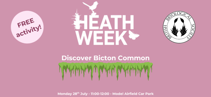 Heathweek discover Bicton Common illustration