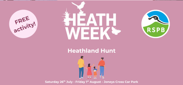 Heathland Hunt illustration
