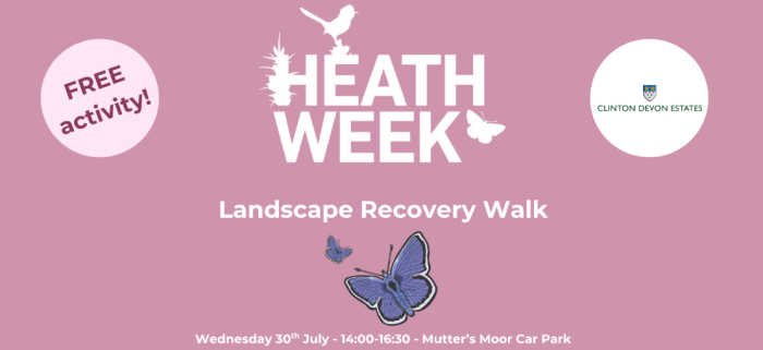 Heathweek Landscape Recovery walk illustration