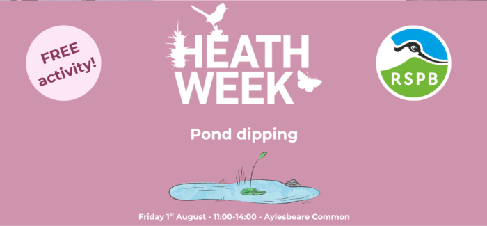 Heathweek Pond dipping illustration