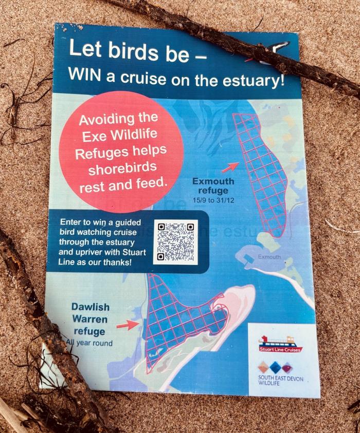 Win a wildlife cruise on the Exe Estuary 