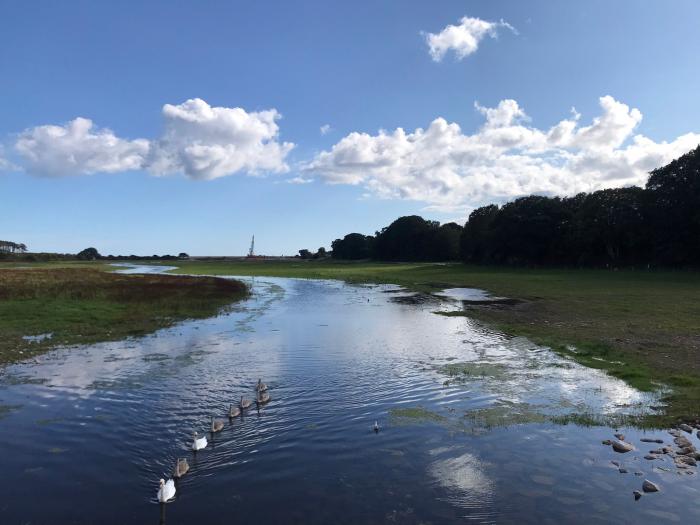 Lower Otter Estuary