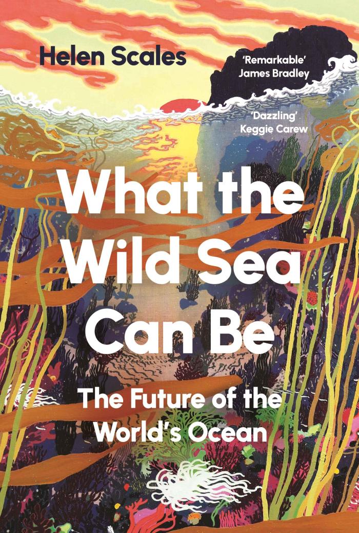 Front of the book
