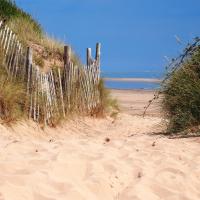 A photo of the dunes at Dawlish Warren