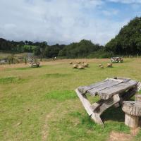 A photo of picnic benches at Dawlish Countryside Park
