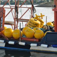 A photo of yellow wildlife refuge buoys on a boat ready to be placed in the estuary.