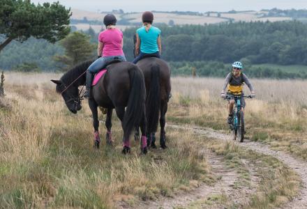 A photo of horses, their riders and a cyclist on the heaths