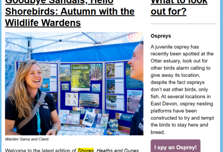 autumn 2025 newsletter