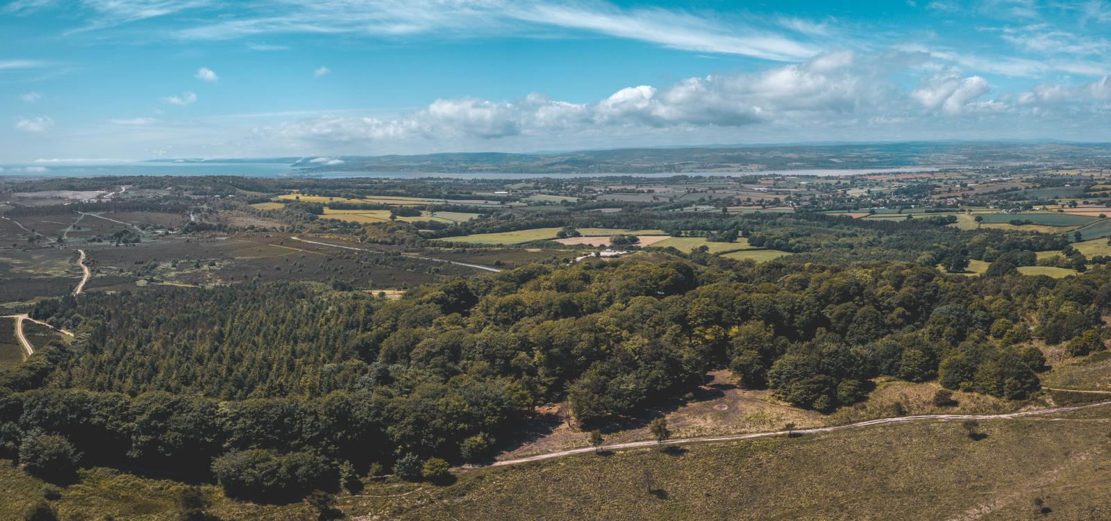 An aerial photo of the Pebblebed Heaths with the Exe Estuary in the background